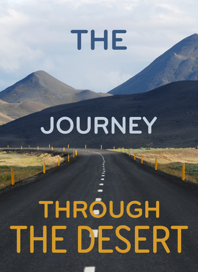 The Journey Through the Desert